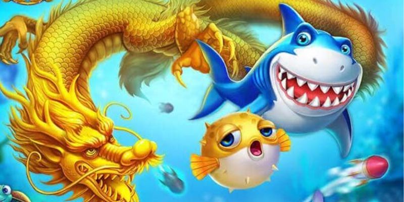 Bí kíp săn cá cực hay khi tham gia JILI Gaming