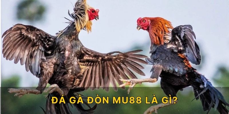 Đá gà đòn MU88 là gì?