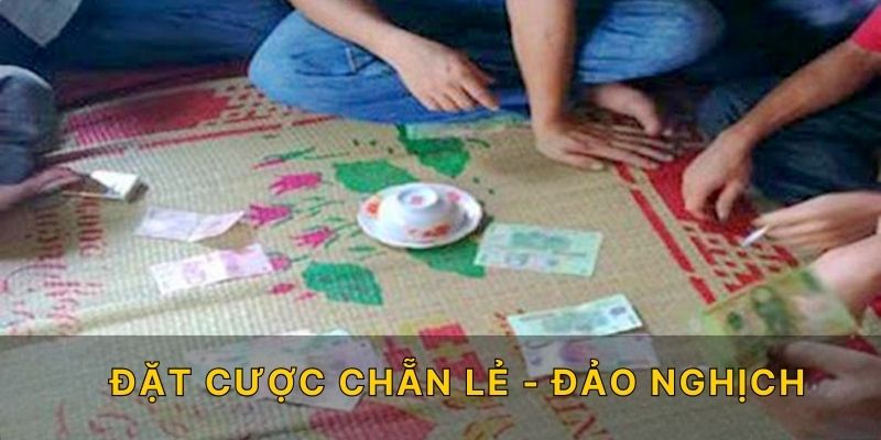 Đặt cược chẵn lẻ - đảo nghịch