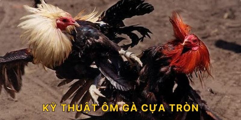 Kỹ thuật ôm gà cựa tròn